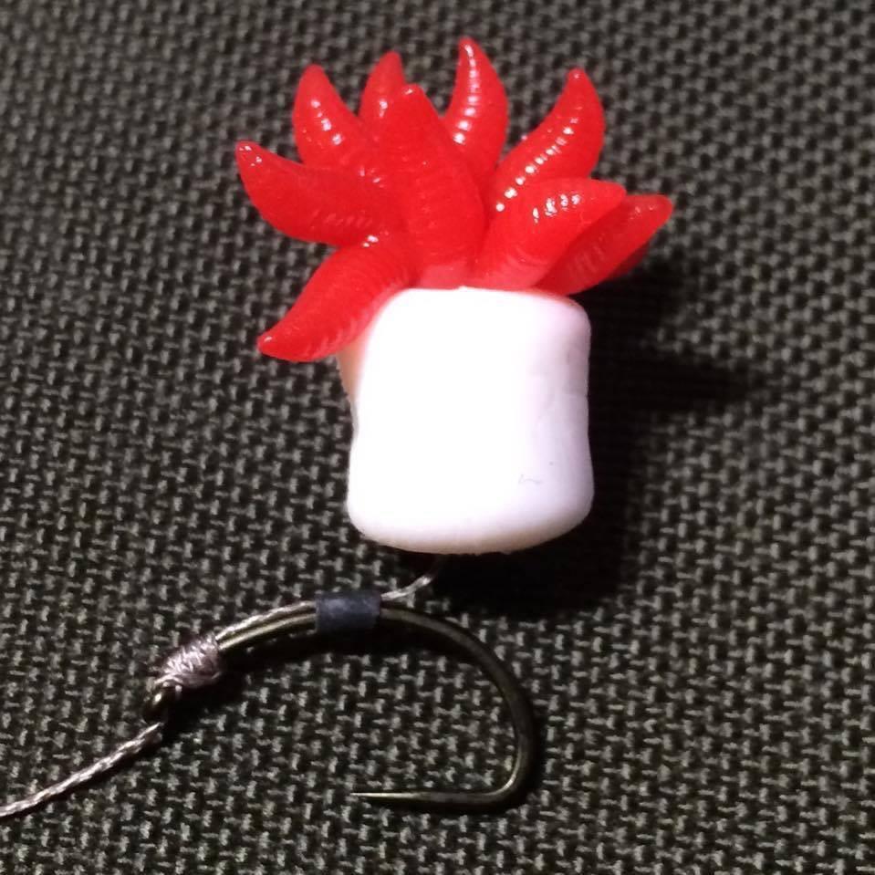 Rig 2015 - image11111.jpg